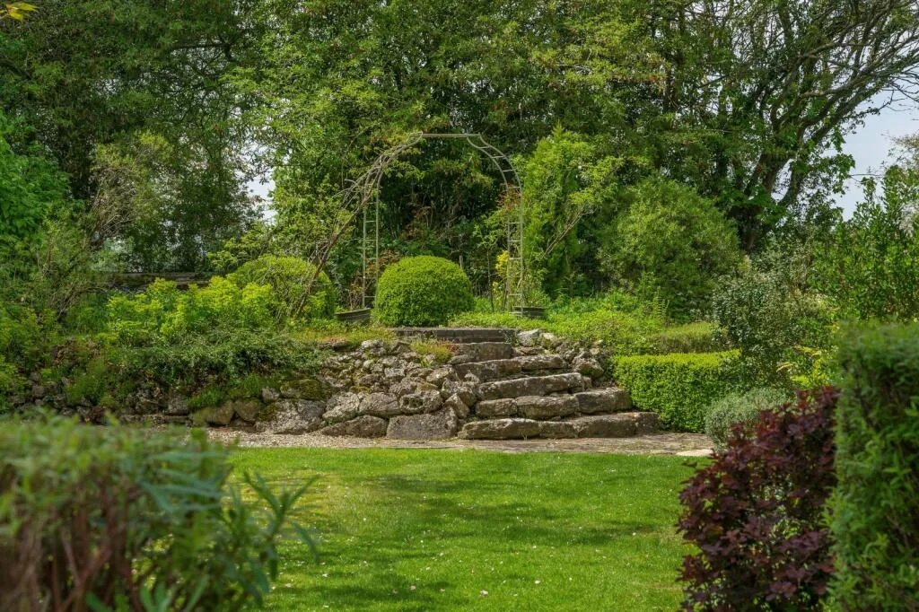 Lush landscaped garden with stone steps and greenery